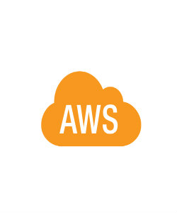 AWS-Logo-250-300