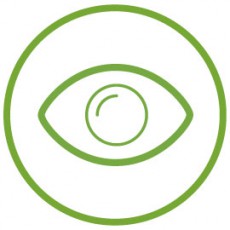 the_visions the_visions
